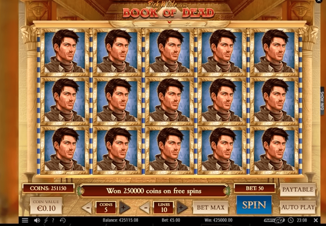 Book of Dead slot